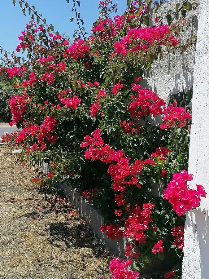Pensjonat Casa Rural Cho Agustin Erjos-El Tanque 0*,